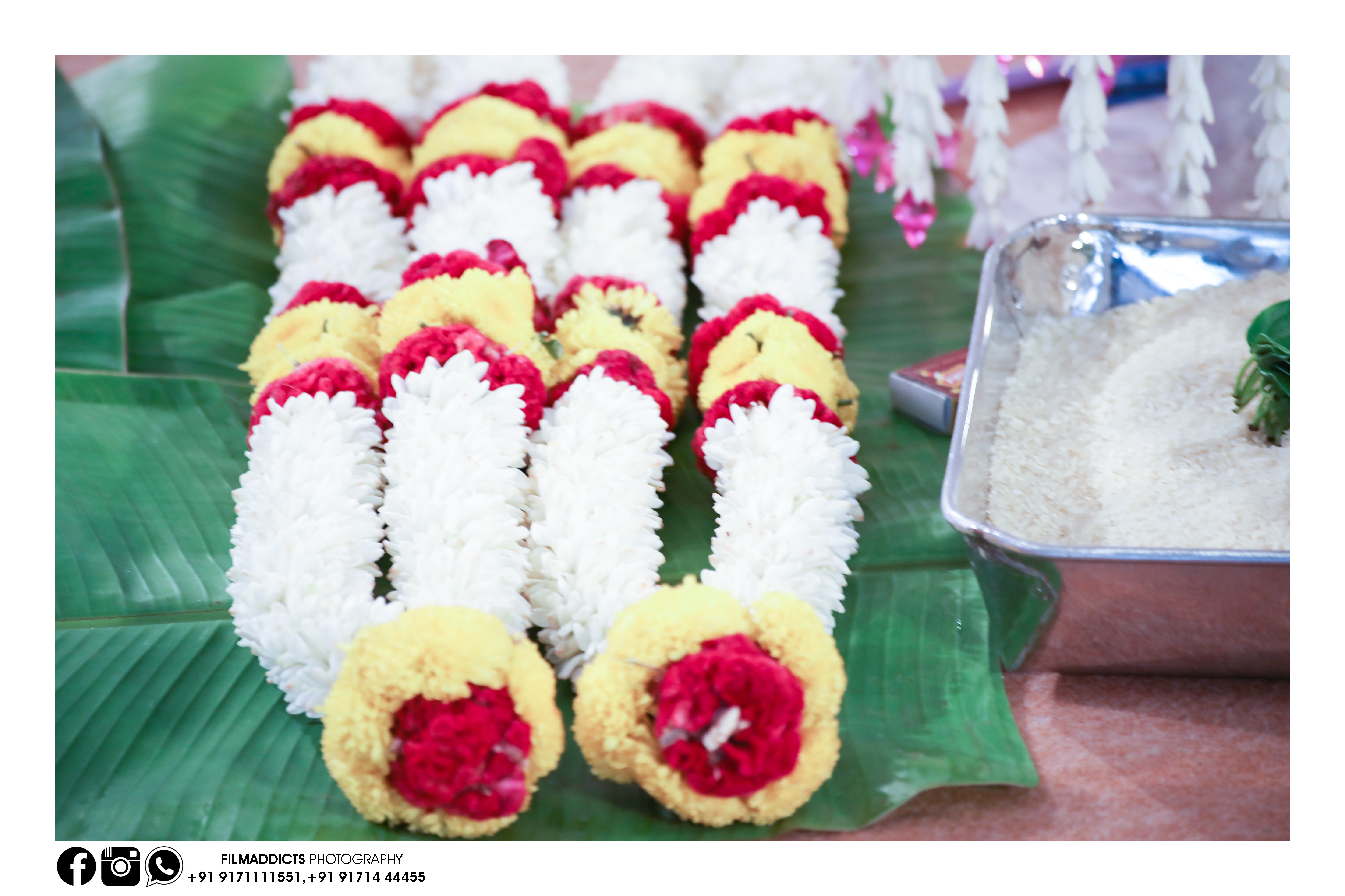Best Wedding photographers in Jayankondam,Best wedding photography in  Jayankondam, Best Candid photographers in  Jayankondam, Best wedding candid photographers in Jayankondam, Best wedding candid photography in Jayankondam, Best Photographers in Jayankondam, Best Marraige photographers in  Jayankondam.Best Marriage photography in Jayankondam,Best Photography in  Jayankondam, Best wedding video in  Jayankondam, Best wedding videography in  Jayankondam, Best Helicam operator in  Jayankondam, Best Drone  Operator, Best wedding studio in  Jayankondam, Best proffesional photographers in  Jayankondam, No.1 Wedding Photographers in Jayankondam, No.1 wedding photography in  Jayankondam,  Jayankondam wedding photographers,  Jayankondam wedding photography,  Jayankondam wedding Videos.
Best Wedding photographers in Jayankondam,Best wedding photography in  Jayankondam, Best Candid photographers in  Jayankondam, Best wedding candid photographers in Jayankondam, Best wedding candid photography in Jayankondam, Best Photographers in Jayankondam, Best Marraige photographers in Jayankondam.Best Marriage photography in Jayankondam,Best Photography in  Jayankondam, Best wedding video in  Jayankondam, Best wedding videography in  Jayankondam, Best Helicam operator in  Jayankondam, Best proffesional photographers in  Jayankondam, No.1 Wedding Photographers in Jayankondam, No.1 wedding photography in Jayankondam,Best Wedding photographers in Perambalur,Best wedding photography in Perambalur, Best Candid photographers in Perambalur, Best wedding candid photographers in Perambalur, Best wedding candid photography in Perambalur, Best Photographers in Perambalur, Best Marraige photographers in Perambalur.Best Marriage photography in Perambalur,Best Photography in  Perambalur, Best wedding video in  Perambalur, Best wedding videography in  Perambalur, Best Helicam operator in Perambalur,  Best proffesional photographers in  Perambalur, No.1 Wedding Photographers in Perambalur, No.1 wedding photography in Perambalur,Best Wedding photographers in Trichy,Best wedding photography in Trichy, Best Candid photographers in Trichy, Best wedding candid photographers in Trichy, Best wedding candid photography in Trichy, Best Photographers in Trichy, Best Marraige photographers in Trichy.Best Marriage photography in Trichy,Best Photography in Trichy, Best wedding video in  Trichy, Best wedding videography in  Trichy, Best Helicam operator in Trichy, Best wedding studio in Trichy, Best proffesional photographers in  Trichy, No.1 Wedding Photographers in Trichy, No.1 wedding photography in Trichy,Best Wedding photographers in Trichy,Best wedding photography in Trichy, Best Candid photographers in Trichy, Best wedding candid photographers in Trichy, Best wedding candid photography in Trichy, Best Photographers in Trichy, Best Marraige photographers inTrichy.Best Marriage photography in Trichy,Best Photography in Trichy, Best wedding video in  Trichy, Best wedding videography in  Trichy, Best Helicam operator in Trichy, Best wedding studio in Trichy, Best proffesional photographers in  Trichy, No.1 Wedding Photographers in Trichy, No.1 wedding photography in Trichy,Best Wedding photographers in tamilnadu,Best wedding photography in tamilnadu, Best Candid photographers in tamilnadu, Best wedding candid photographers in tamilnadu, Best wedding candid photography in tamilnadu, Best Photographers in tamilnadu, Best Marraige photographers in tamilnadu.Best Marriage photography in tamilnadu,Best Photography in tamilnadu, Best wedding video in  tamilnadu, Best wedding videography in  tamilnadu, Best Helicam operator in tamilnadu,  Best wedding studio in tamilnadu, Best proffesional photographers in  tamilnadu, No.1 Wedding Photographers in tamilnadu, No.1 wedding photography in tamilnadu,Best Wedding photographers in Tirupur,Best wedding photography in Tirupur, Best Candid photographers in Tirupur, Best wedding candid photographers in Tirupur, Best wedding candid photography in Tirupur, Best Photographers in Tirupur, Best Marraige photographers in Tirupur.Best Marriage photography in Tirupur,Best Photography in Tirupur, Best wedding video in  Tirupur, Best wedding videography in  Tirupur, Best Helicam operator in Tirupur, Best wedding studio in Tirupur, Best proffesional photographers in Tirupur, No.1 Wedding Photographers in Tirupur, No.1 wedding photography in Tirupur.